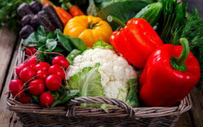 Lorem ipsum dolor sit amet, consectetur adipiscing elit