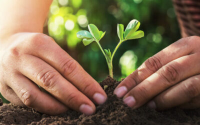 Lorem ipsum dolor sit amet, consectetur adipiscing elit